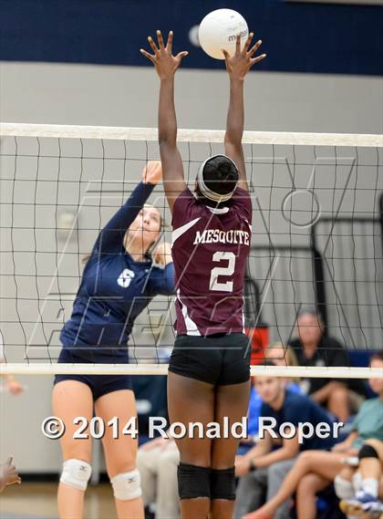 Thumbnail 1 in Mesquite @ Wylie East photogallery.