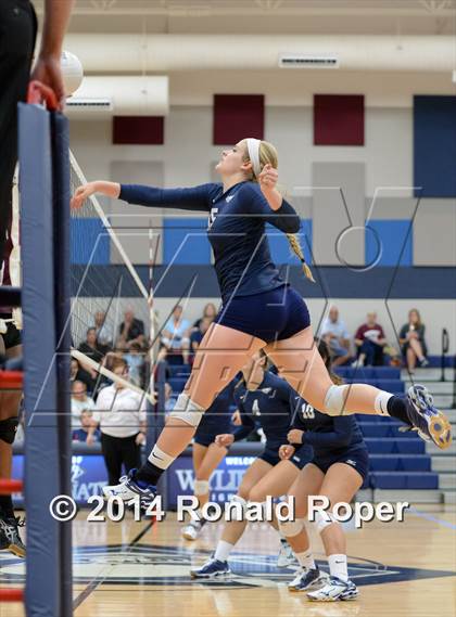 Thumbnail 1 in Mesquite @ Wylie East photogallery.