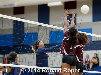 Thumbnail 1 in Mesquite @ Wylie East photogallery.