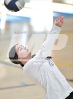 Photo from the gallery "Sutter @ Center"