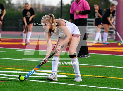Thumbnail 1 in South County @ Oakton photogallery.
