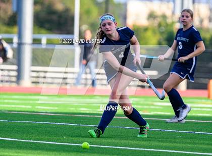 Thumbnail 1 in South County @ Oakton photogallery.