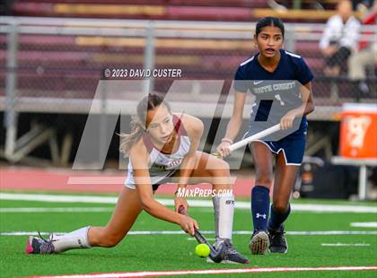 Thumbnail 1 in South County @ Oakton photogallery.