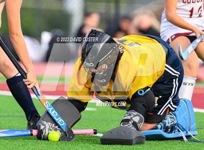 Thumbnail 1 in South County @ Oakton photogallery.