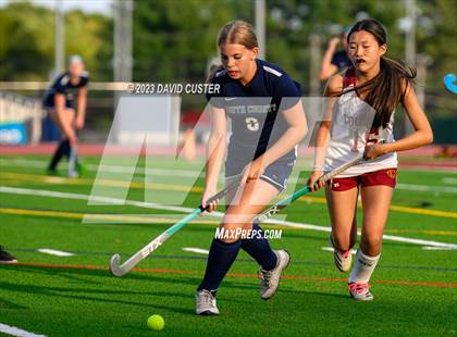 Thumbnail 1 in South County @ Oakton photogallery.