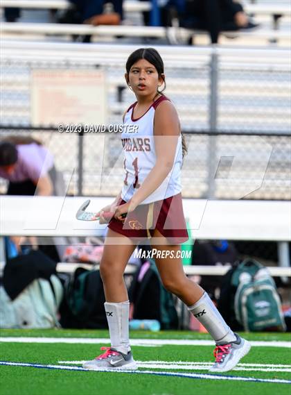 Thumbnail 1 in South County @ Oakton photogallery.