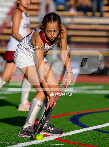 Thumbnail 1 in South County @ Oakton photogallery.