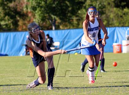 Thumbnail 3 in Maury @ Norview photogallery.
