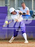 Photo from the gallery "Linden @ Franklin"