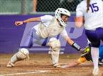 Photo from the gallery "Linden @ Franklin"