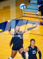 Photo from the gallery "Arabia Mountain @ Chamblee"
