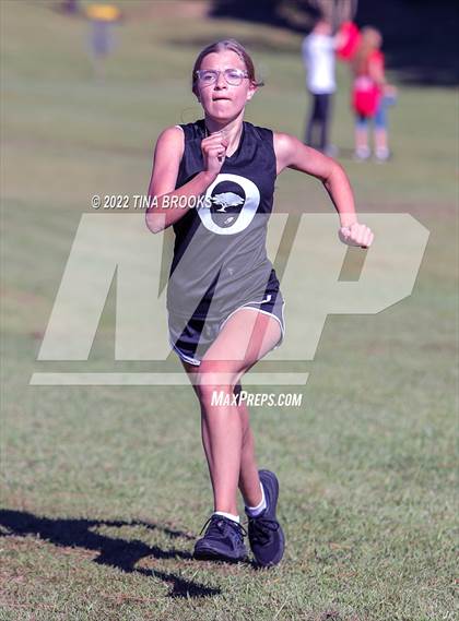 Thumbnail 2 in Onslow County Cross Country Meet photogallery.