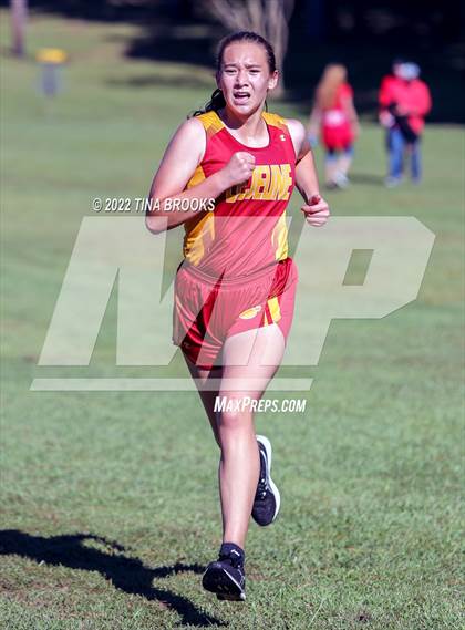 Thumbnail 2 in Onslow County Cross Country Meet photogallery.