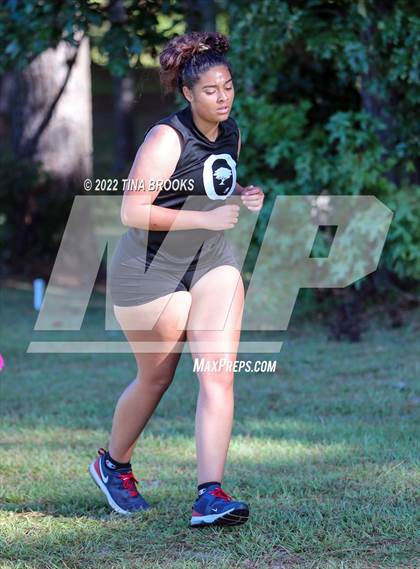 Thumbnail 1 in Onslow County Cross Country Meet photogallery.