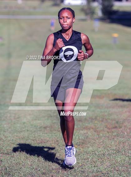 Thumbnail 1 in Onslow County Cross Country Meet photogallery.
