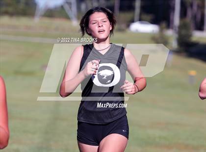 Thumbnail 3 in Onslow County Cross Country Meet photogallery.