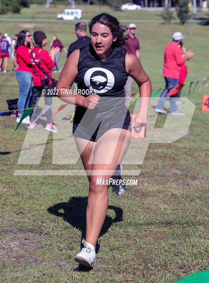 Thumbnail 1 in Onslow County Cross Country Meet photogallery.