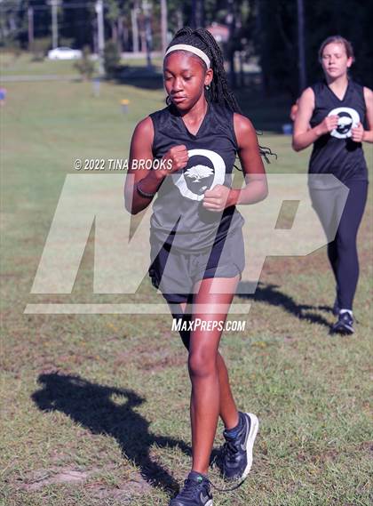 Thumbnail 3 in Onslow County Cross Country Meet photogallery.