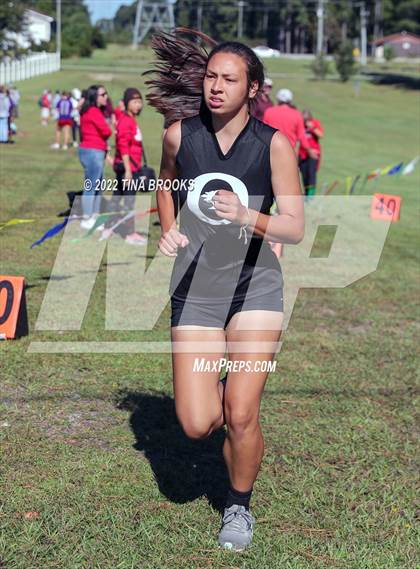 Thumbnail 2 in Onslow County Cross Country Meet photogallery.