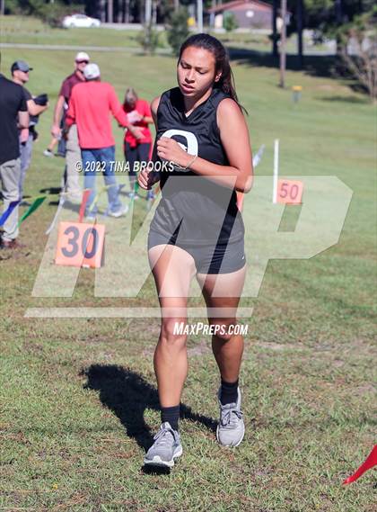 Thumbnail 3 in Onslow County Cross Country Meet photogallery.