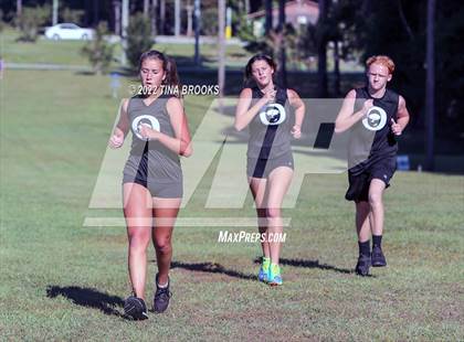 Thumbnail 3 in Onslow County Cross Country Meet photogallery.