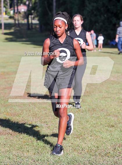Thumbnail 1 in Onslow County Cross Country Meet photogallery.