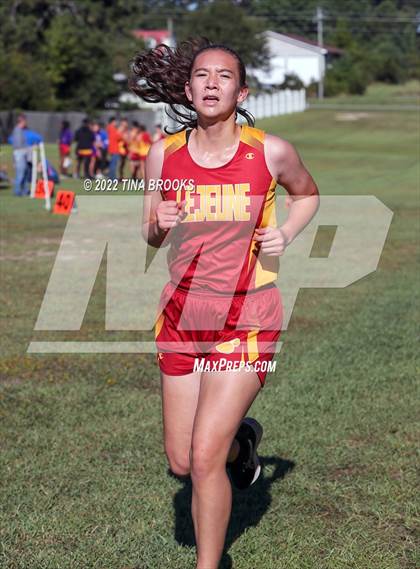 Thumbnail 2 in Onslow County Cross Country Meet photogallery.