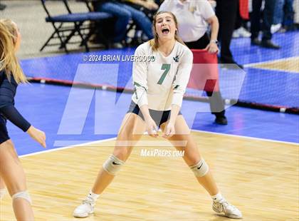 Thumbnail 2 in Pine Creek vs. Loveland (CHSAA 5A Round 1) photogallery.