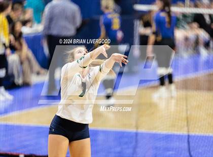 Thumbnail 2 in Pine Creek vs. Loveland (CHSAA 5A Round 1) photogallery.