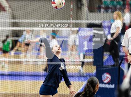 Thumbnail 3 in Pine Creek vs. Loveland (CHSAA 5A Round 1) photogallery.