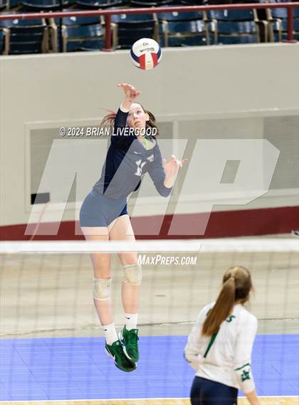 Thumbnail 1 in Pine Creek vs. Loveland (CHSAA 5A Round 1) photogallery.