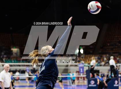 Thumbnail 2 in Pine Creek vs. Loveland (CHSAA 5A Round 1) photogallery.