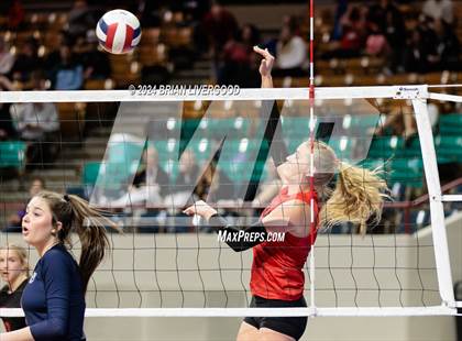 Thumbnail 3 in Pine Creek vs. Loveland (CHSAA 5A Round 1) photogallery.