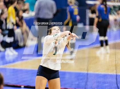 Thumbnail 1 in Pine Creek vs. Loveland (CHSAA 5A Round 1) photogallery.