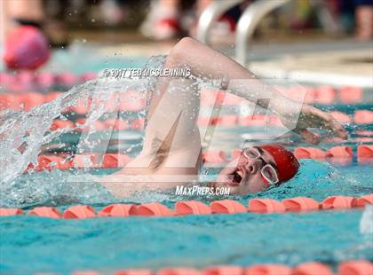 Thumbnail 3 in Conway Invitational Swim Meet photogallery.