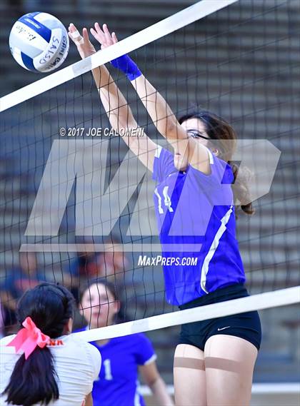 Thumbnail 1 in Burbank vs Lanier [Sidney] photogallery.