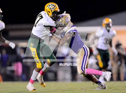 Thumbnail 2 in Southern Lab @ Ascension Catholic photogallery.