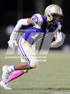 Photo from the gallery "Southern Lab @ Ascension Catholic"