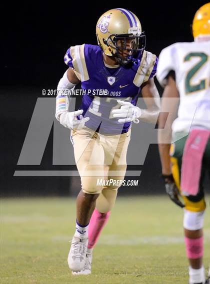 Thumbnail 2 in Southern Lab @ Ascension Catholic photogallery.
