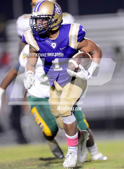 Thumbnail 1 in Southern Lab @ Ascension Catholic photogallery.