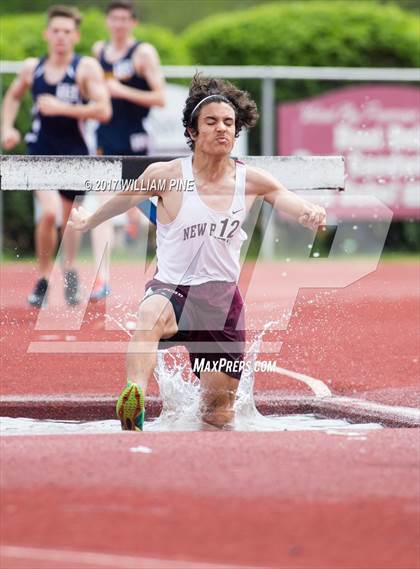 Thumbnail 3 in Kingston Tiger Relays (Boys Varsity Steeplechase) photogallery.