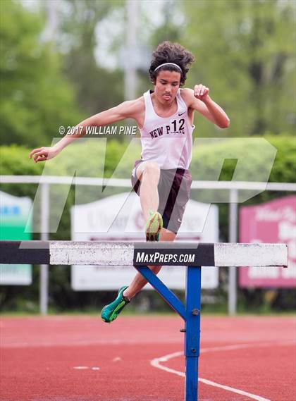 Thumbnail 2 in Kingston Tiger Relays (Boys Varsity Steeplechase) photogallery.