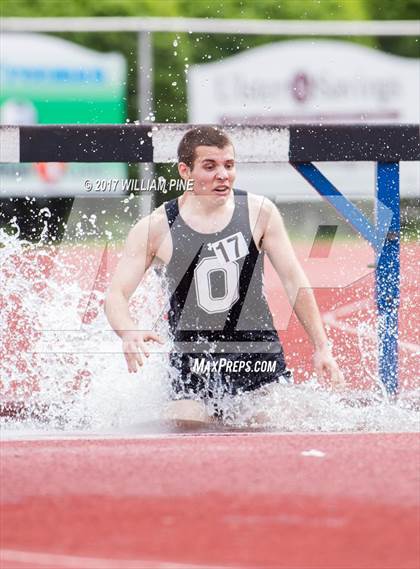 Thumbnail 3 in Kingston Tiger Relays (Boys Varsity Steeplechase) photogallery.