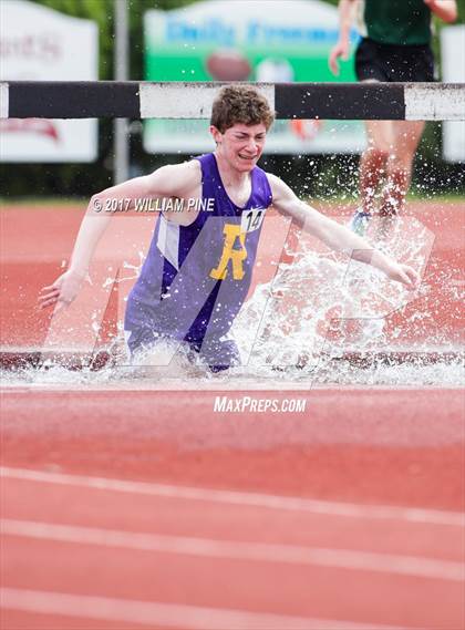 Thumbnail 3 in Kingston Tiger Relays (Boys Varsity Steeplechase) photogallery.