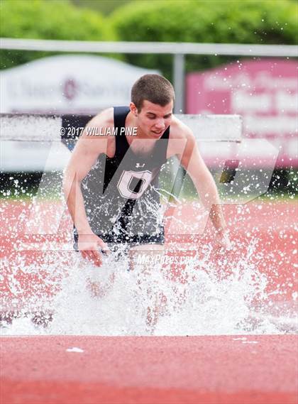 Thumbnail 3 in Kingston Tiger Relays (Boys Varsity Steeplechase) photogallery.