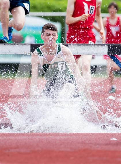 Thumbnail 2 in Kingston Tiger Relays (Boys Varsity Steeplechase) photogallery.