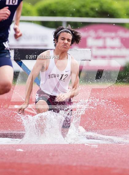 Thumbnail 2 in Kingston Tiger Relays (Boys Varsity Steeplechase) photogallery.
