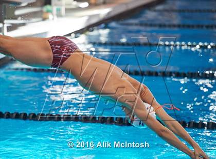 Thumbnail 2 in NCHSAA 4A State Swimming Championships (Finals) photogallery.