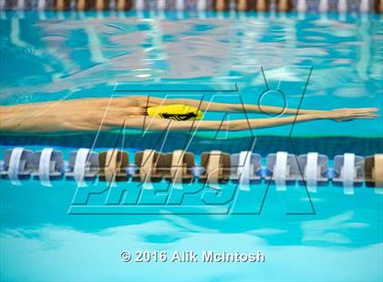 Thumbnail 1 in NCHSAA 4A State Swimming Championships (Finals) photogallery.