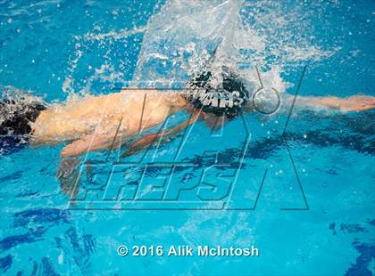 Thumbnail 2 in NCHSAA 4A State Swimming Championships (Finals) photogallery.